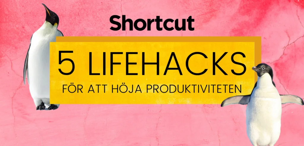5 Lifehacks för att Öka Produktiviteten