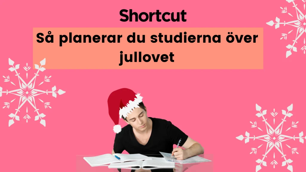Så planerar du studierna över jullovet
